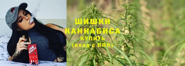 крисы Яранск