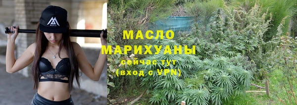 гидра Кулебаки